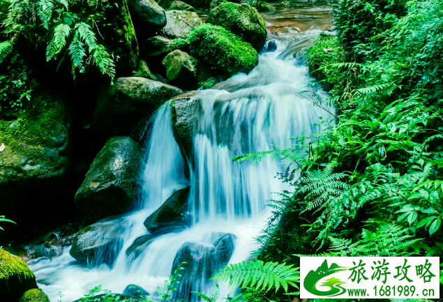 成都竹海在哪里-景点推荐 成都竹海在哪里-景点推荐