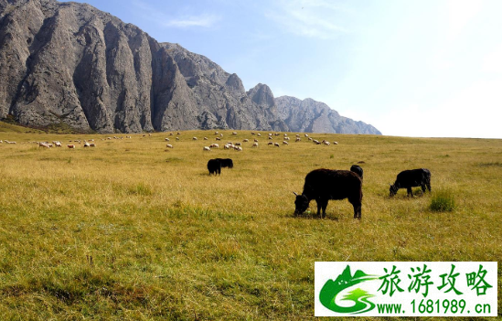 甘南有什么好玩的景点-旅游注意事项