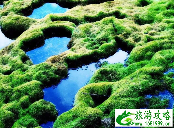 阿坝黑水有啥好玩的-景点推荐