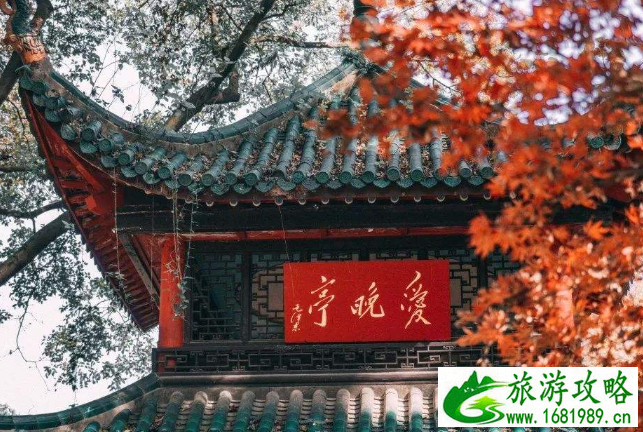 2020年12月岳麓山枫叶红了吗 岳麓山观赏路线推荐