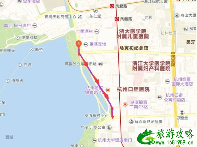 2020杭州落叶不扫路段汇总