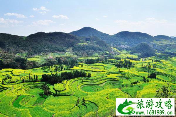 国内三月中旬去哪里旅游比较好 国内三月中旬去哪里旅游比较好