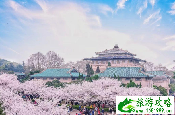 武大什么时候看樱花 2021武大樱花预约指南 武大什么时候看樱花 2021武大樱花预约指南