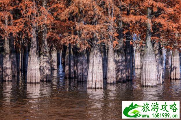 9月份适合去哪里旅行 9月份适合去哪里旅行