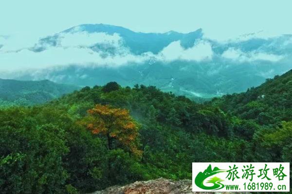 莫干山德清葛岭自驾游旅游攻略