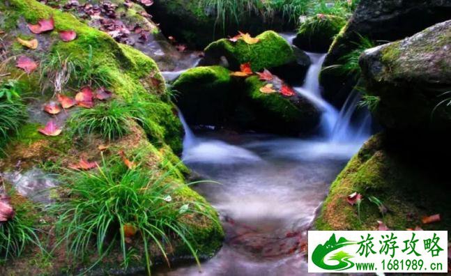 龙潭大峡谷游记作文 龙潭大峡谷游记作文