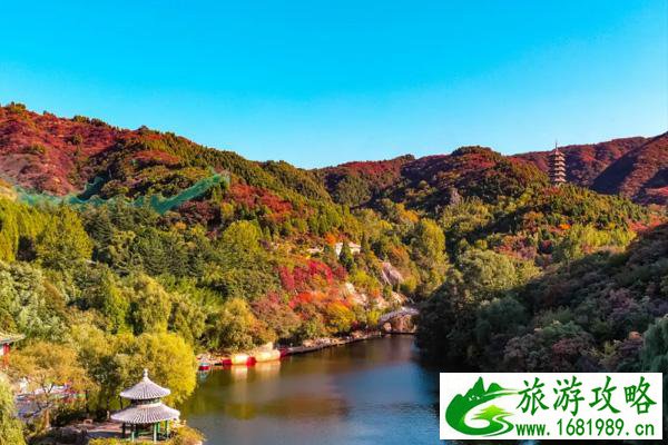 2020济南红叶谷红叶节是什么时候 济南红叶谷一日游跟团多少钱 2020济南红叶谷红叶节是什么时候 济南红叶谷一日游跟团多少钱