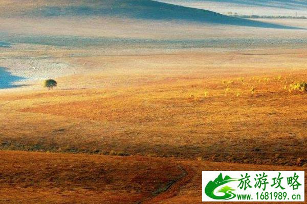坝上草原最美季节 最佳游玩时间 坝上草原最美季节 最佳游玩时间