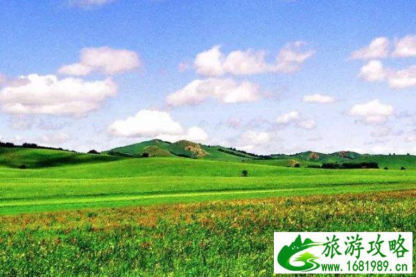 坝上草原最美季节 最佳游玩时间 坝上草原最美季节 最佳游玩时间