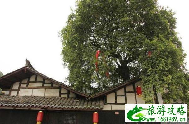 后柳古镇旅游攻略 后柳古镇旅游攻略