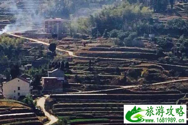 南屏乡山头郑村游玩攻略 南屏乡山头郑村游玩攻略