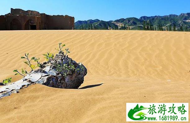 天漠值得去吗 天漠风景区好玩吗 天漠值得去吗 天漠风景区好玩吗