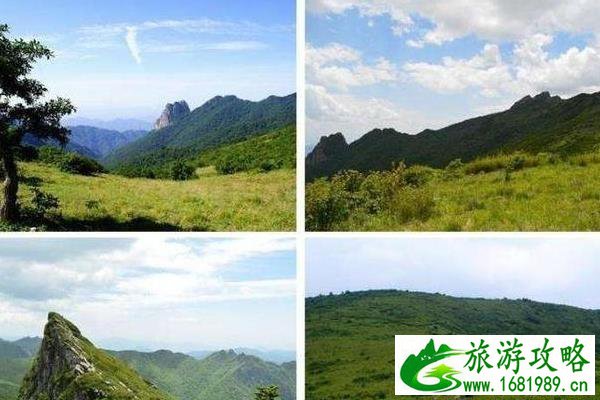 东坪沟高山草甸攻略 东坪沟高山草甸攻略
