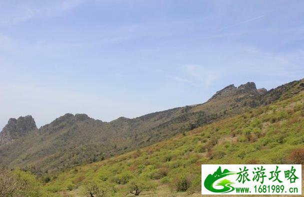 东坪沟高山草甸攻略 东坪沟高山草甸攻略