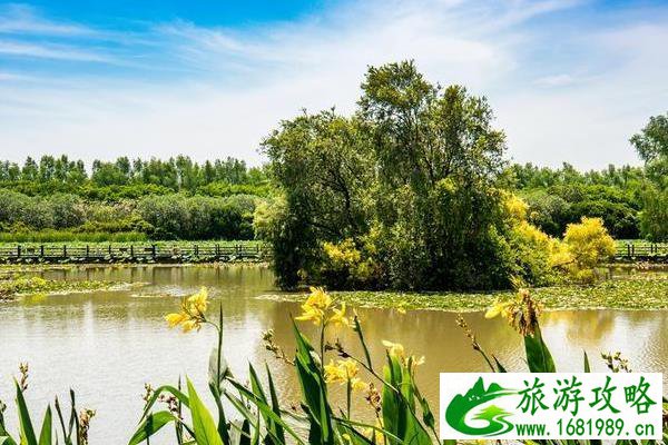 广州南沙湿地公园游玩攻略2020 广州南沙湿地公园游玩攻略2020