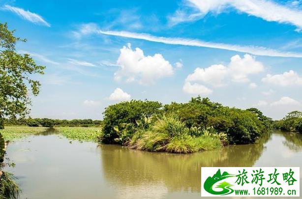 广州南沙湿地公园游玩攻略2020 广州南沙湿地公园游玩攻略2020