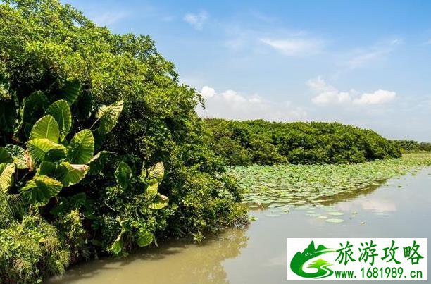 广州南沙湿地公园游玩攻略2020 广州南沙湿地公园游玩攻略2020