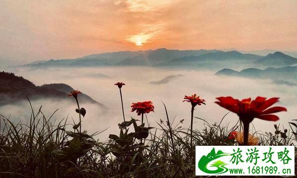 石潭村游玩攻略 黄山石潭村旅游指南