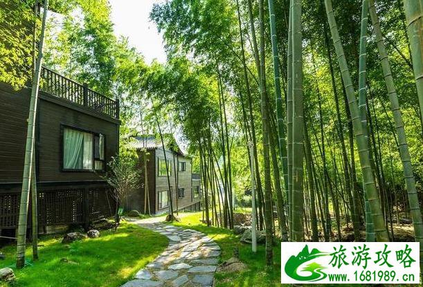 云冰山旅游攻略2020 云冰山旅游攻略2020