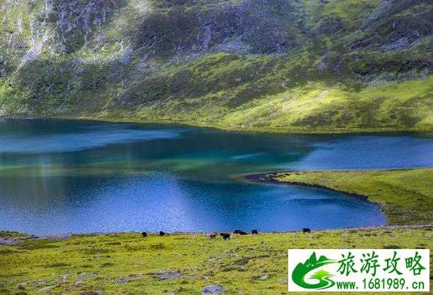 莫斯卡村旅游攻略2020 莫斯卡村旅游攻略2020