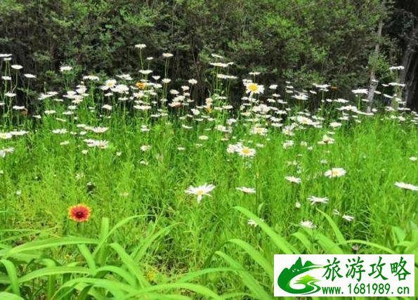 葫芦湖公园游记作文 葫芦湖公园游记作文