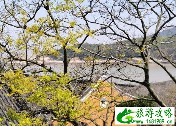 普陀山游记2020 普陀山游记2020