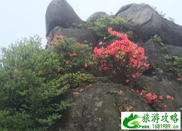 望云山一日游攻略 望云山一日游攻略