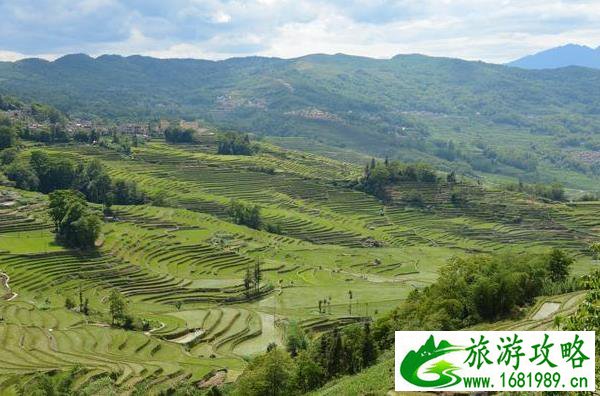 云南元阳梯田旅游攻略 云南元阳梯田旅游攻略