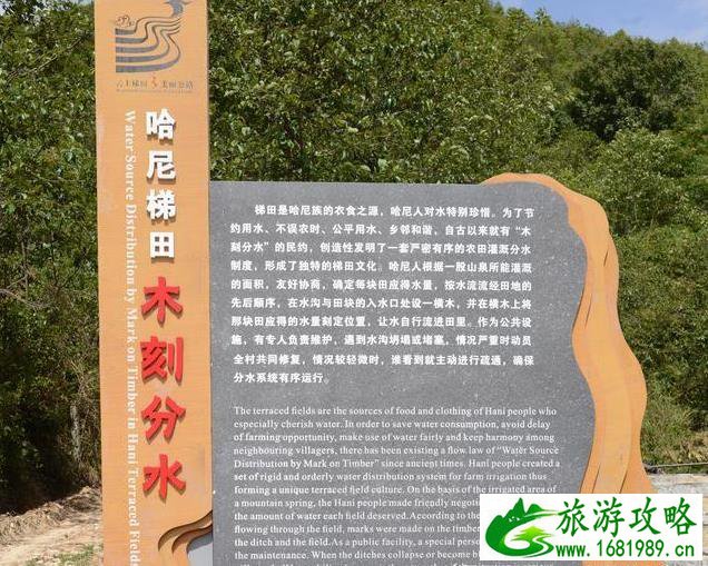 云南元阳梯田旅游攻略 云南元阳梯田旅游攻略
