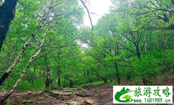 北灵山游玩攻略指南 北灵山游玩攻略指南