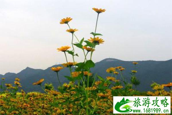 七孔桥花海介绍 什么时候去游玩最好 七孔桥花海介绍 什么时候去游玩最好