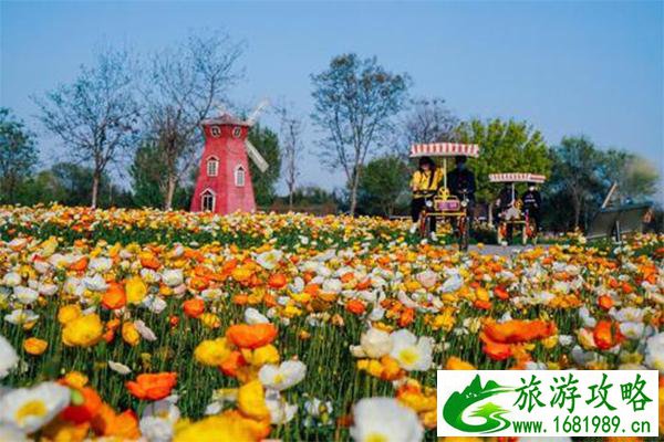 北京紫谷伊甸园需要预约吗 门票多少钱