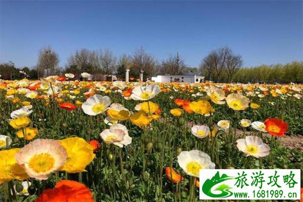 北京紫谷伊甸园需要预约吗 门票多少钱