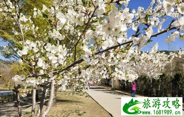 北京植物园一日游攻略 北京植物园一日游攻略