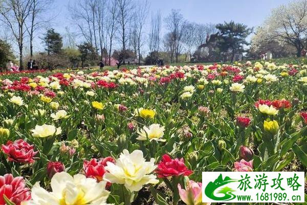 北京植物园一日游攻略 北京植物园一日游攻略