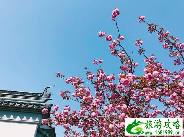 北京园博园赏花春游 北京园博园赏花春游