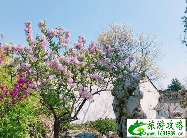 北京园博园赏花春游 北京园博园赏花春游