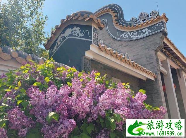 北京园博园赏花春游 北京园博园赏花春游