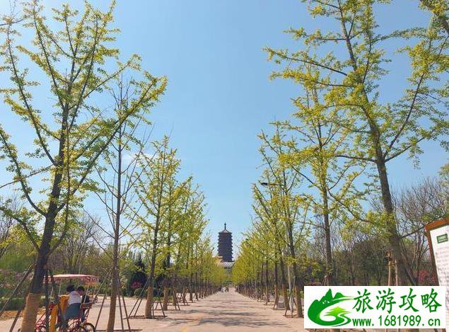 北京园博园赏花春游 北京园博园赏花春游