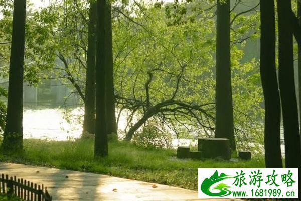 武汉东湖旅游攻略2020最新版