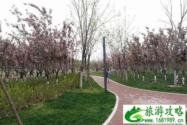 北京周边五一去哪玩比较好 北京周边五一去哪玩比较好