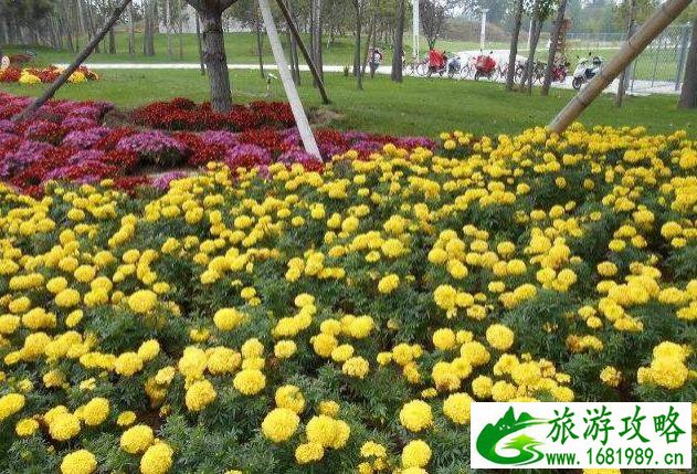 北京周边五一去哪玩比较好 北京周边五一去哪玩比较好