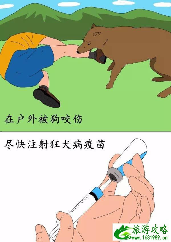 在户外遇见野狗怎么办 在户外遇见野狗怎么办