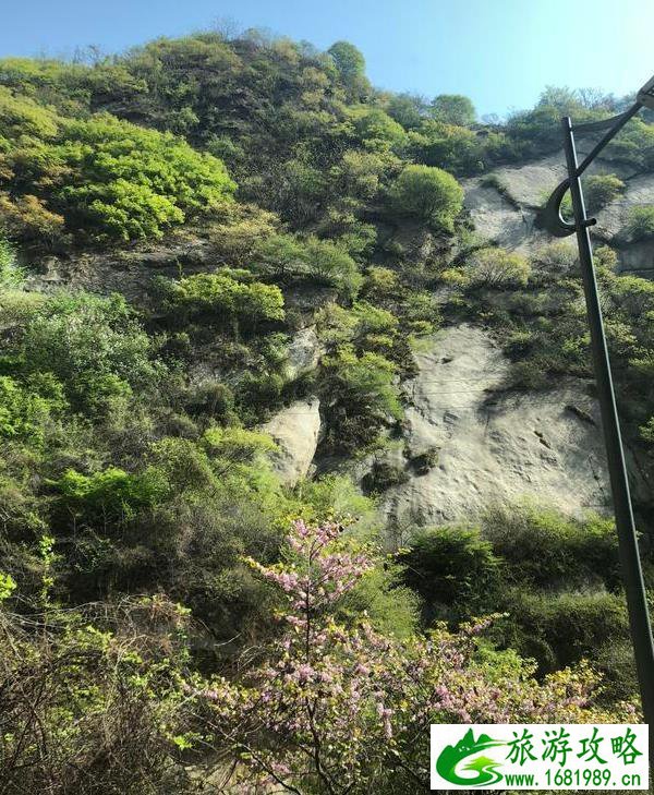 华山一日游攻略2020 华山一日游攻略2020