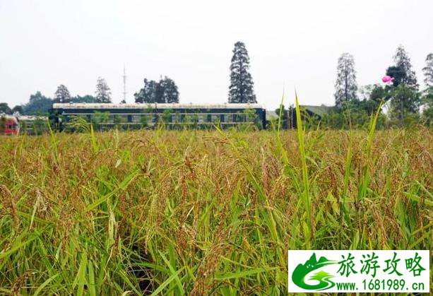 麻涌古梅园生态农场有什么好玩的 麻涌古梅园生态农场有什么好玩的