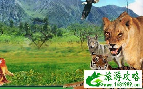 秦岭野生动物园攻略 秦岭野生动物园怎么样