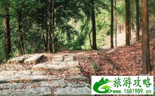 岐澳古道入口在哪 岐澳古道游记