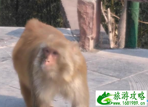 八里沟在哪里 河南八里沟有什么好玩的