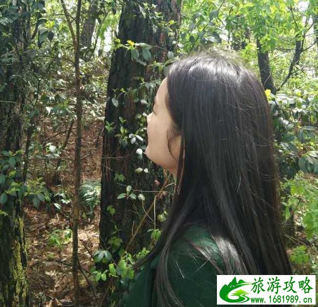 斗方禅寺在哪里 斗方禅寺旅游攻略 斗方禅寺在哪里 斗方禅寺旅游攻略
