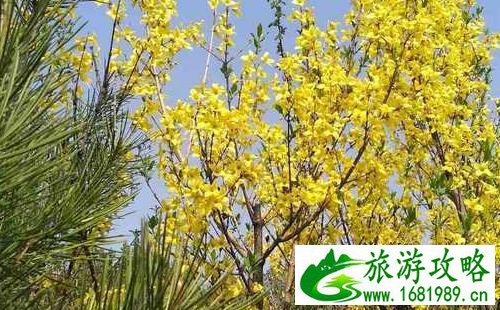 聚仙峡游记攻略